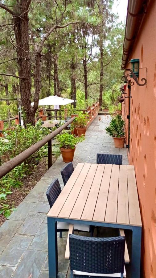 Casa Rural En Medio Del Bosque, El Lance Firgas Extérieur photo