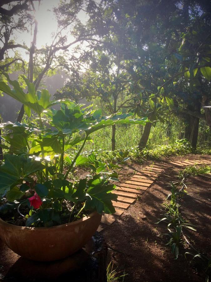 Casa Rural En Medio Del Bosque, El Lance Firgas Extérieur photo