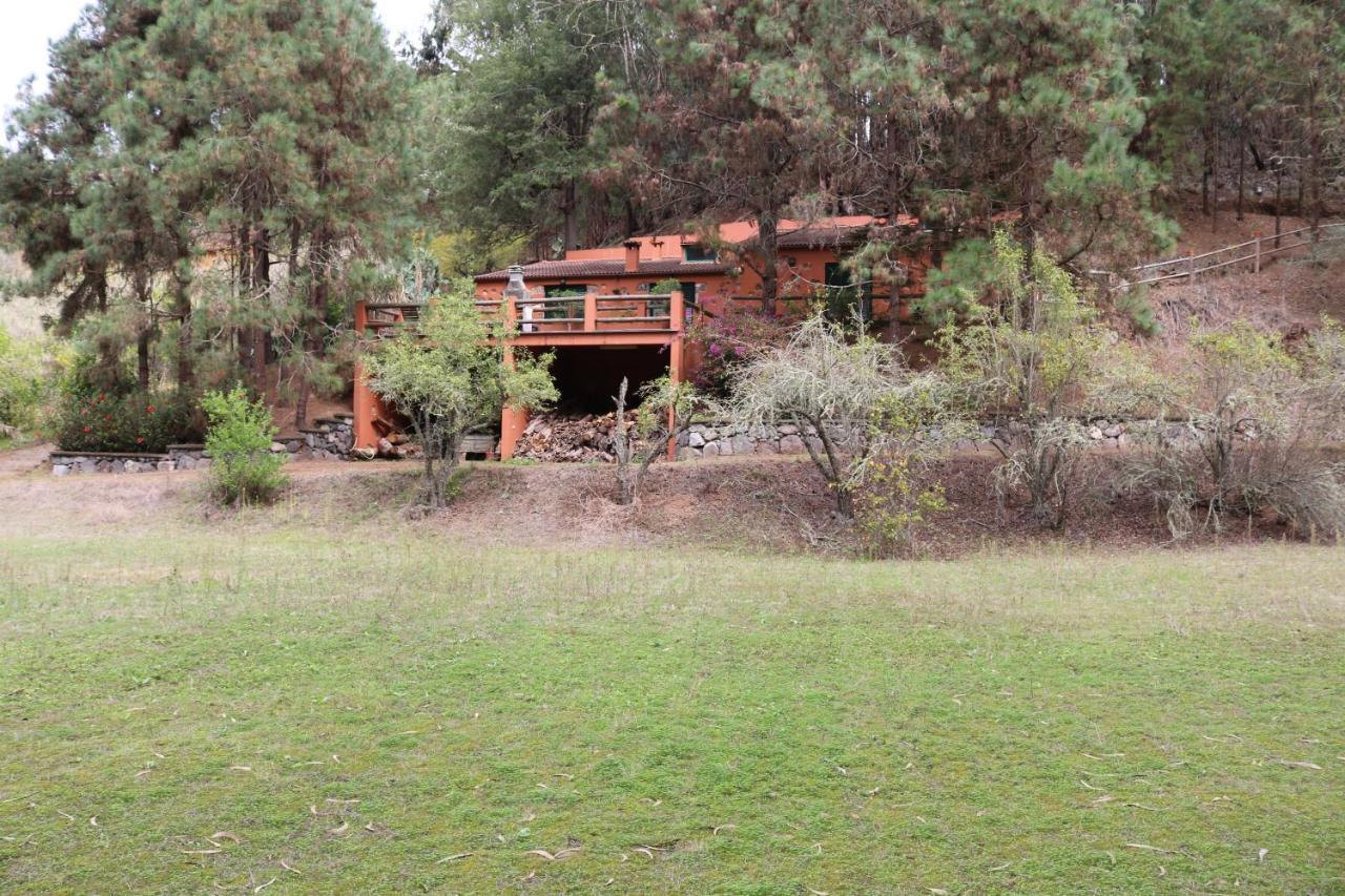 Casa Rural En Medio Del Bosque, El Lance Firgas Extérieur photo