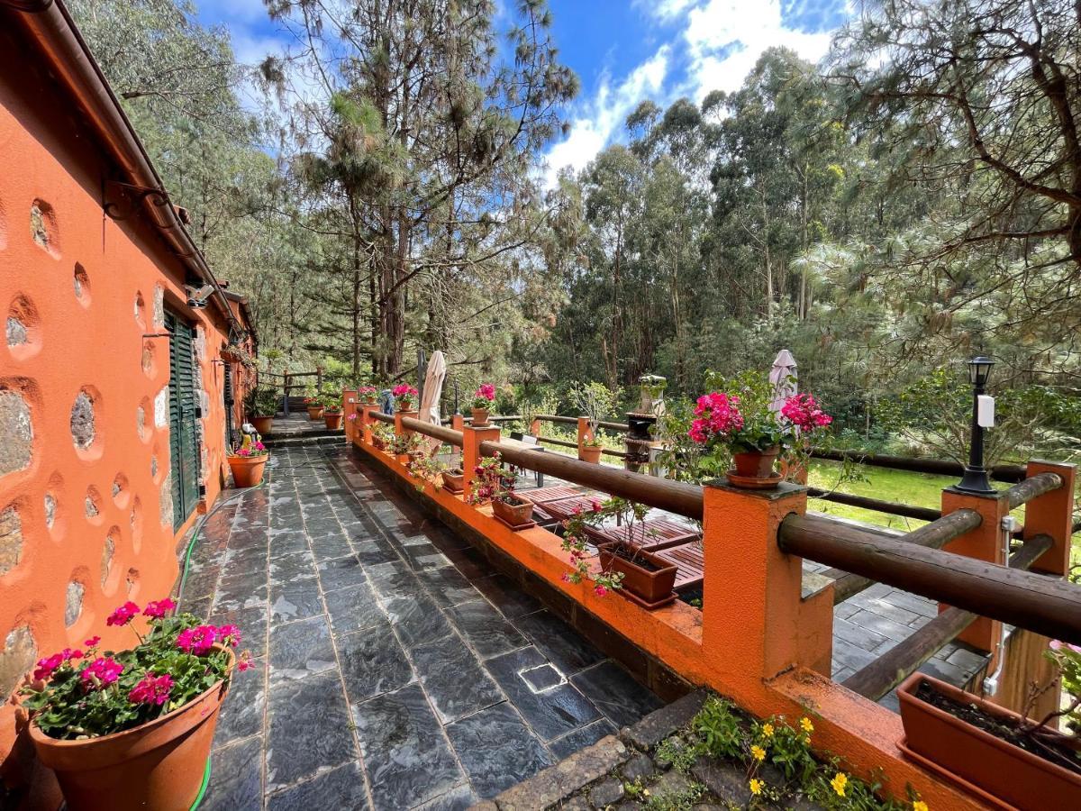 Casa Rural En Medio Del Bosque, El Lance Firgas Extérieur photo