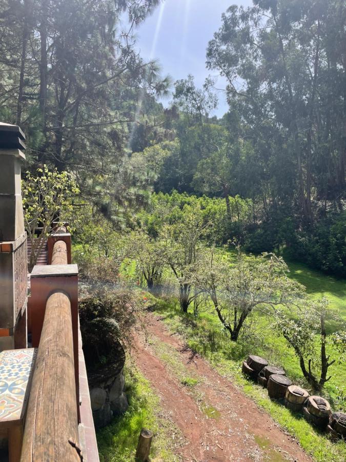 Casa Rural En Medio Del Bosque, El Lance Firgas Extérieur photo