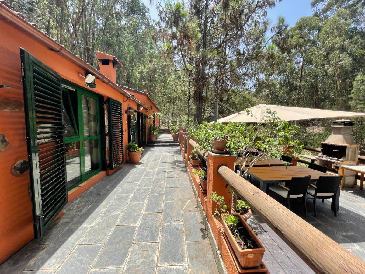 Casa Rural En Medio Del Bosque, El Lance Firgas Extérieur photo