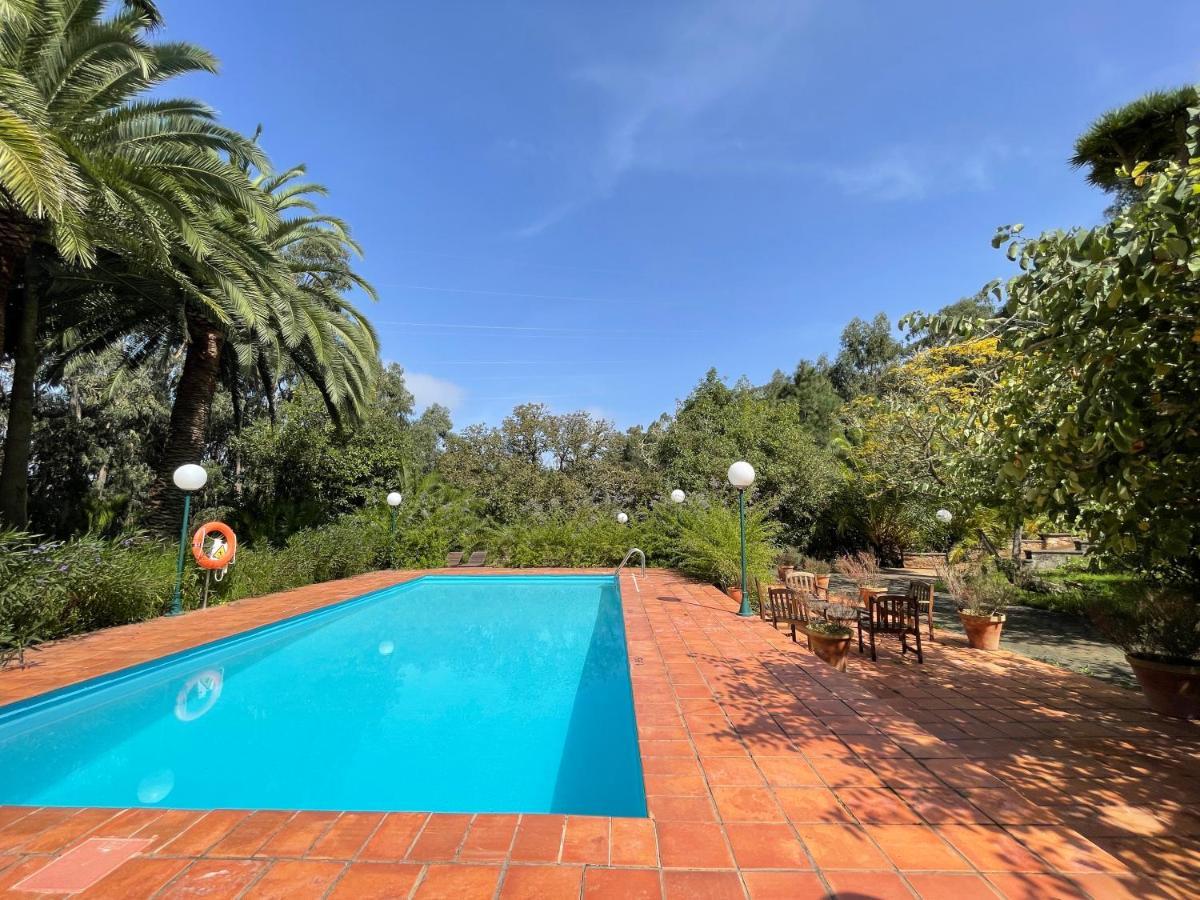 Casa Rural En Medio Del Bosque, El Lance Firgas Extérieur photo