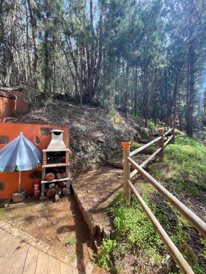 Casa Rural En Medio Del Bosque, El Lance Firgas Extérieur photo