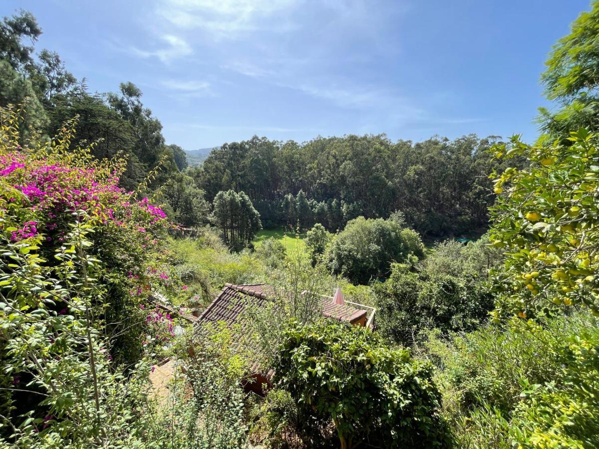 Casa Rural En Medio Del Bosque, El Lance Firgas Extérieur photo