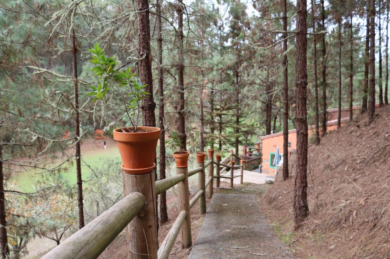 Casa Rural En Medio Del Bosque, El Lance Firgas Extérieur photo