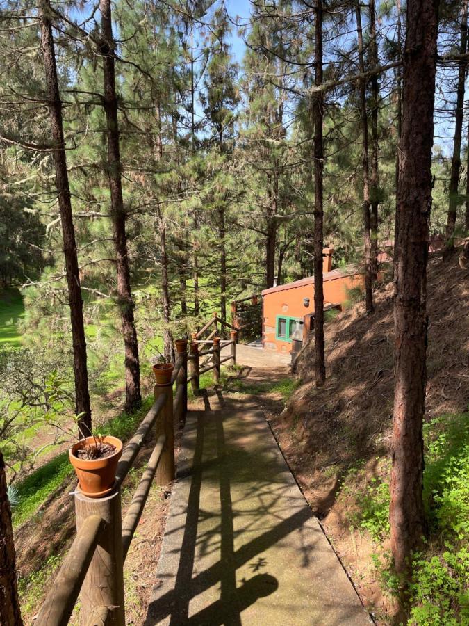 Casa Rural En Medio Del Bosque, El Lance Firgas Extérieur photo