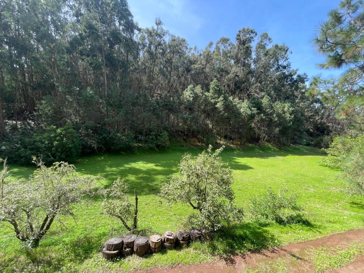 Casa Rural En Medio Del Bosque, El Lance Firgas Extérieur photo
