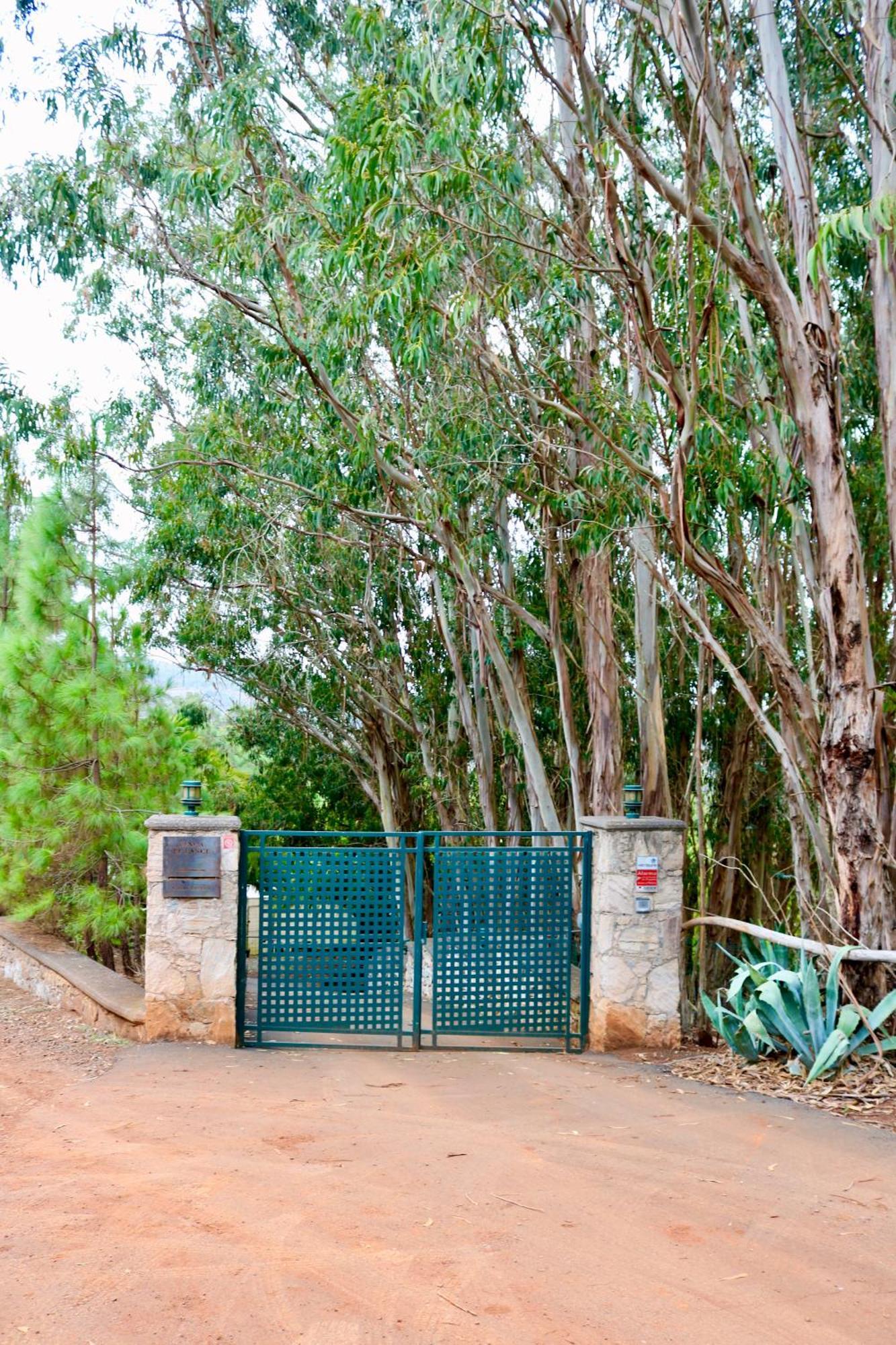 Casa Rural En Medio Del Bosque, El Lance Firgas Extérieur photo