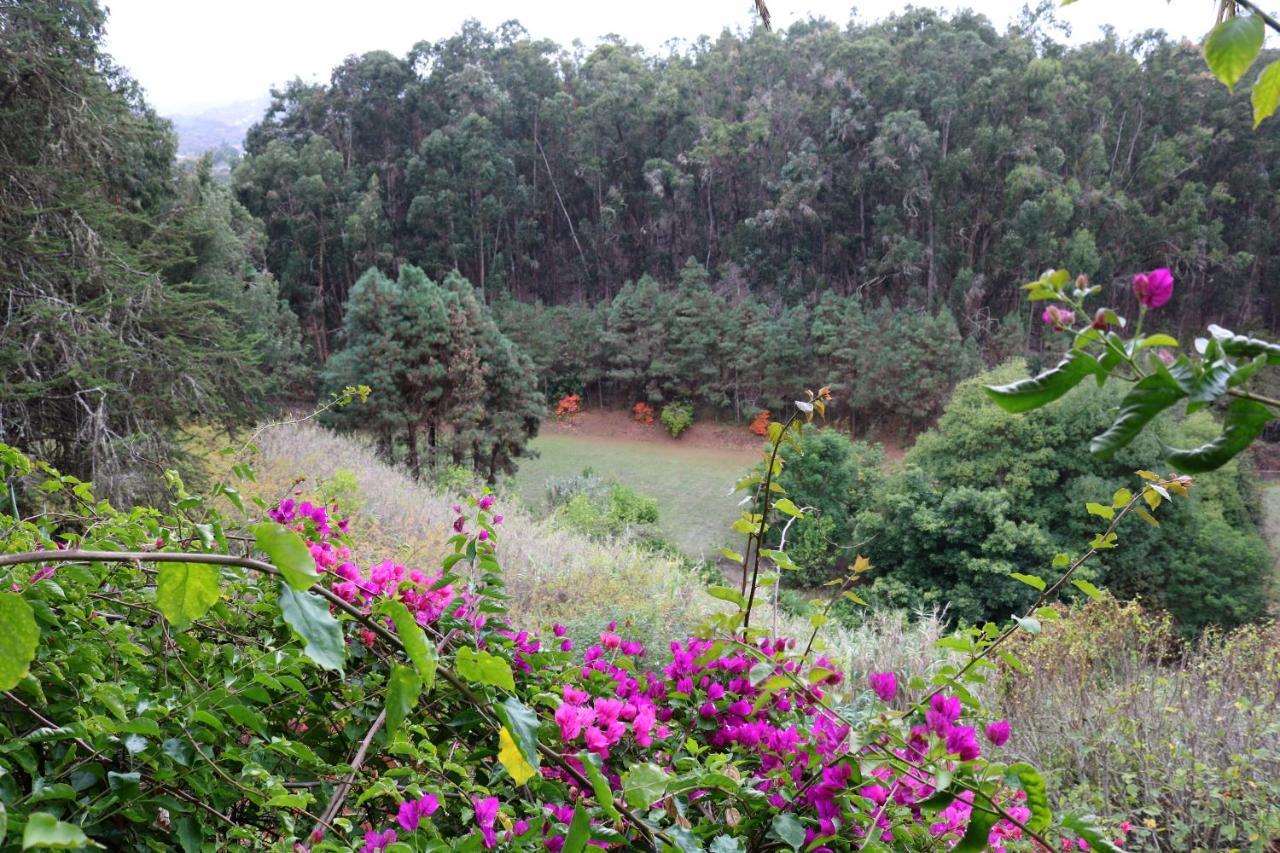Casa Rural En Medio Del Bosque, El Lance Firgas Extérieur photo