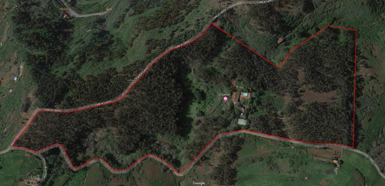 Casa Rural En Medio Del Bosque, El Lance Firgas Extérieur photo