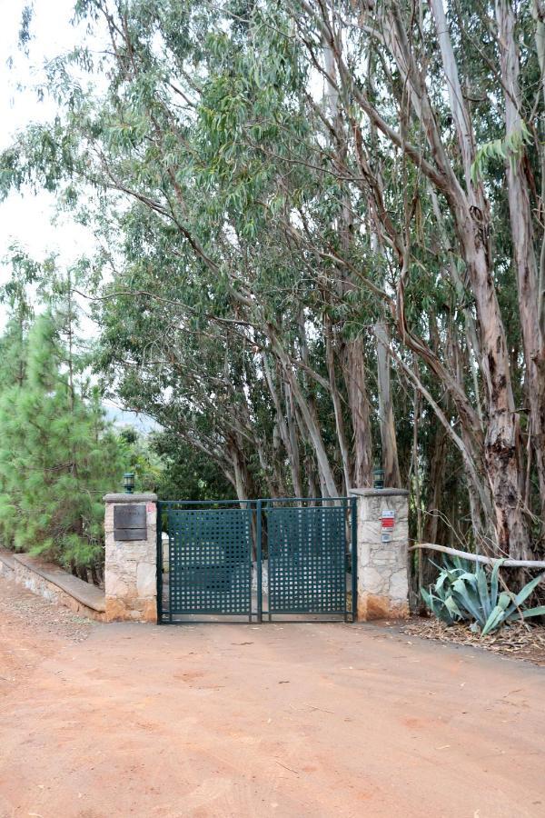 Casa Rural En Medio Del Bosque, El Lance Firgas Extérieur photo
